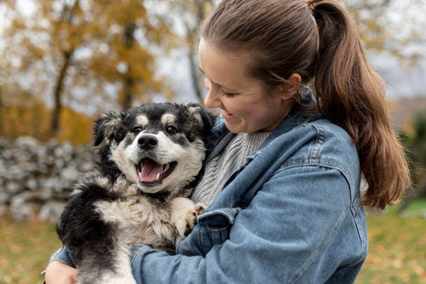 Celebrating the Joy of Pets: Your Best Friends at Home