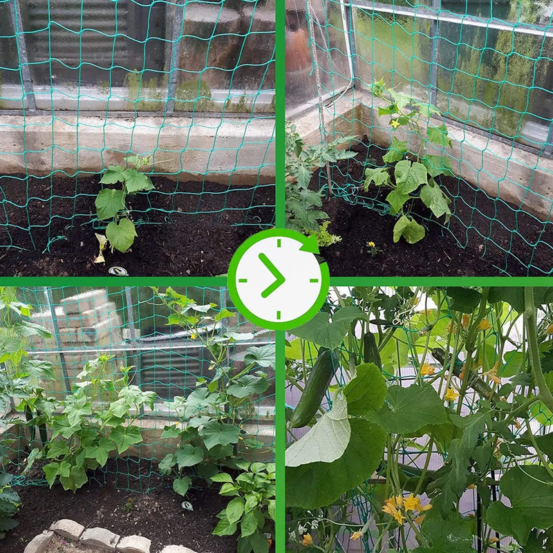 Garden Plant Climbing Net