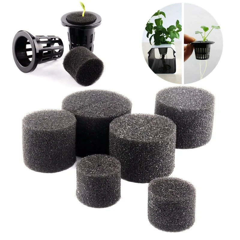 Nursery Planting Root Fixed Sponge