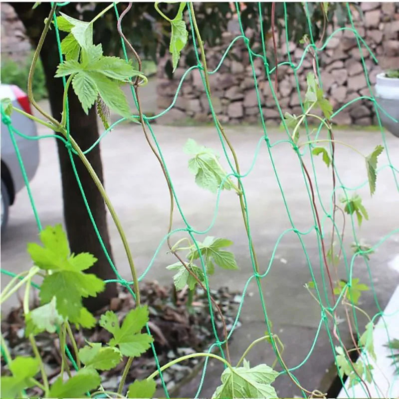 Garden Plant Climbing Net