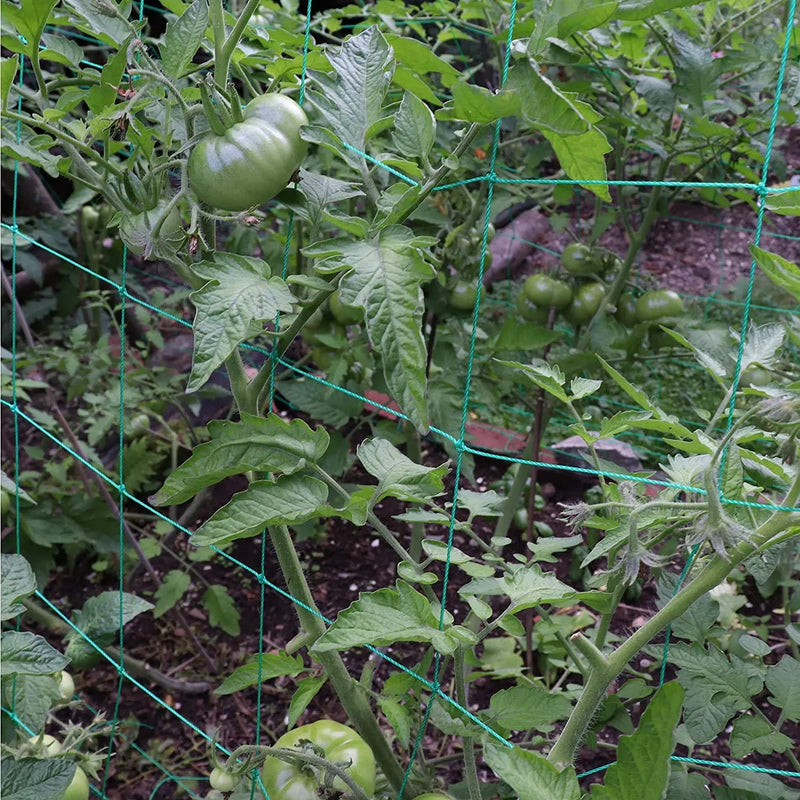 Garden Plant Climbing Net