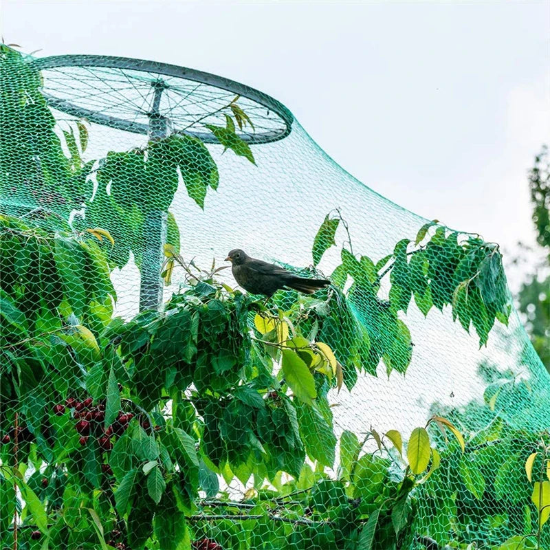 Anti Bird Protection Net