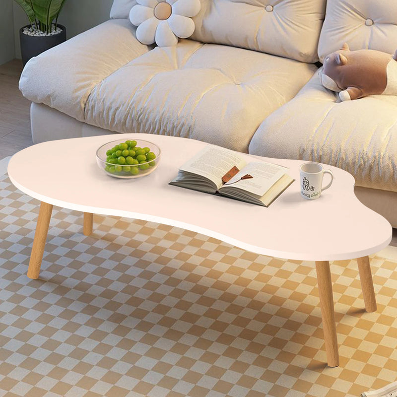 Nordic Minimalist Coffee Table