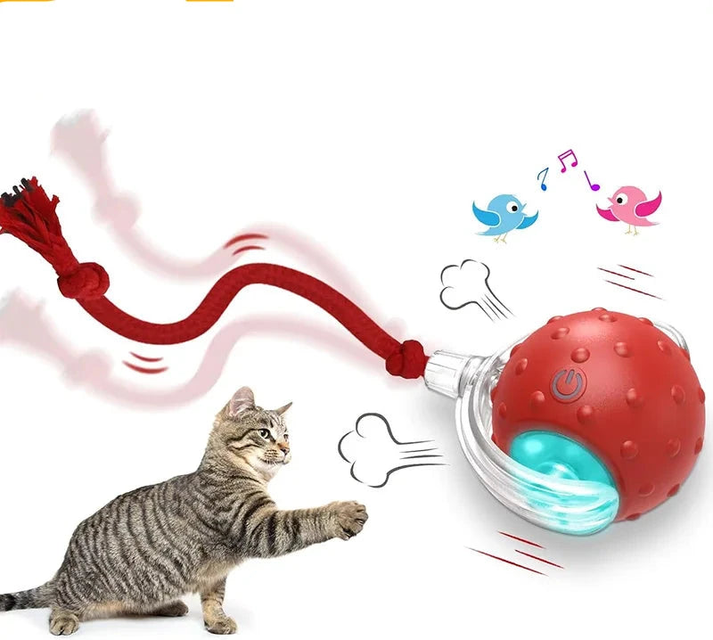 Interactive Cat Ball Toy