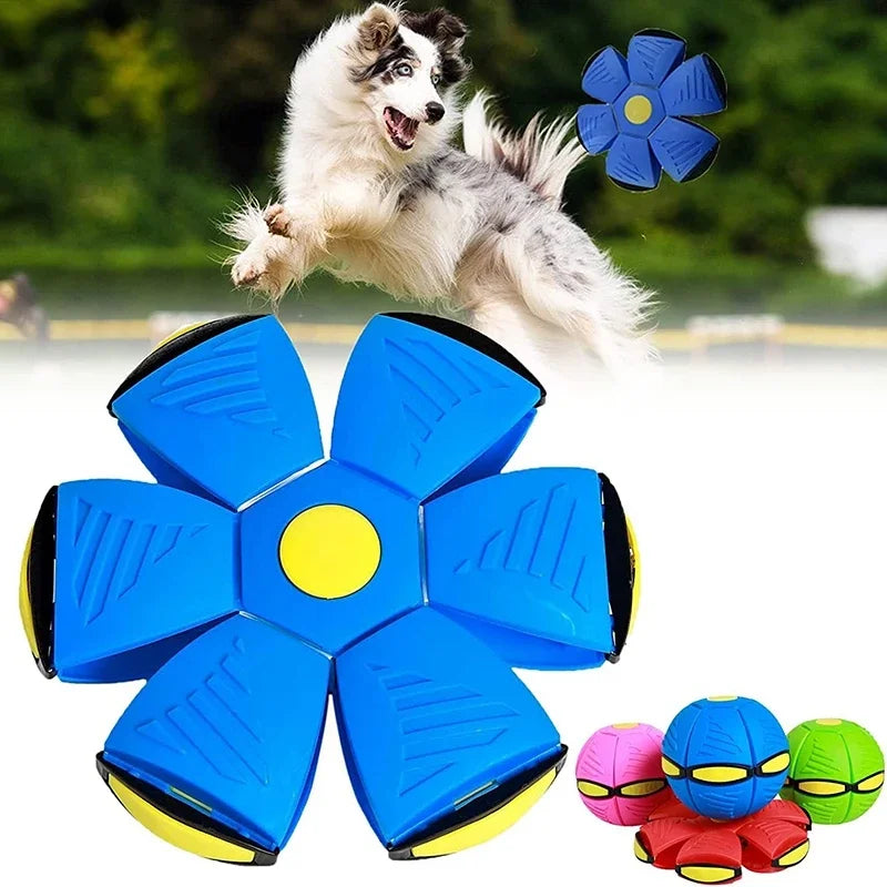 Outdoor Dog Toy Saucer