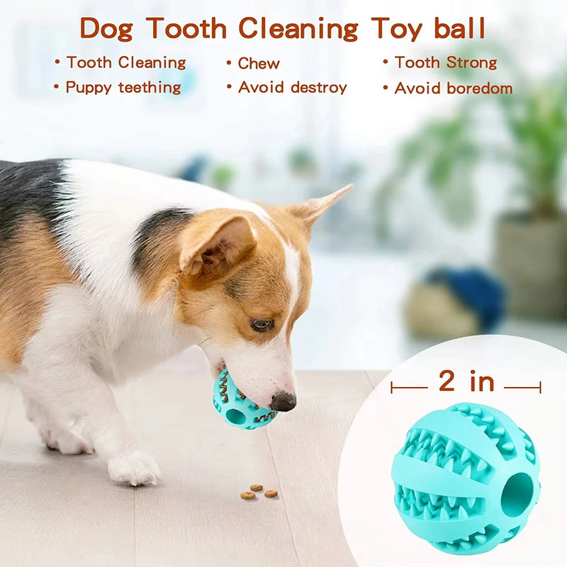 Interactive Dog Feeder Ball