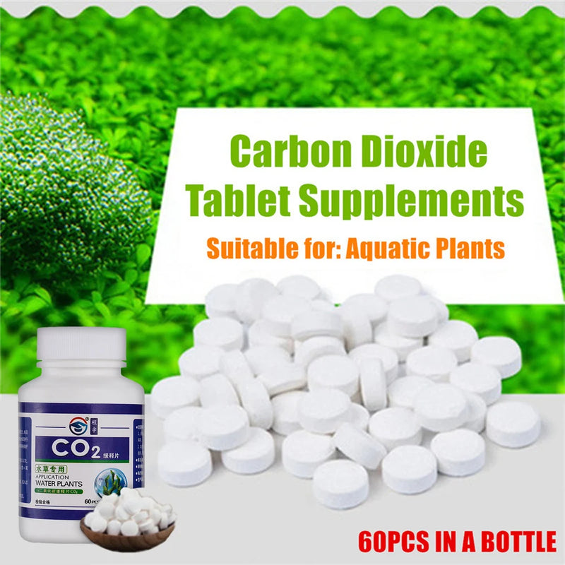 Carbon Dioxide Supplements