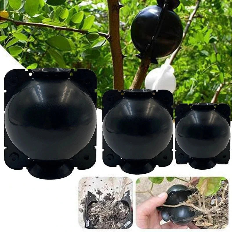 Garden Plant Rooting Ball