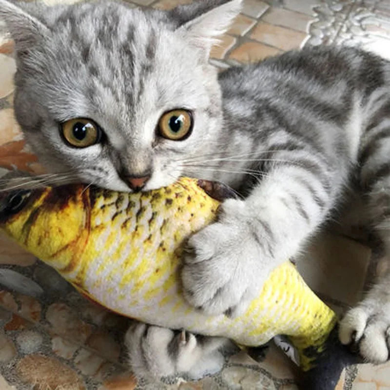 Plush Fish Cat Toy