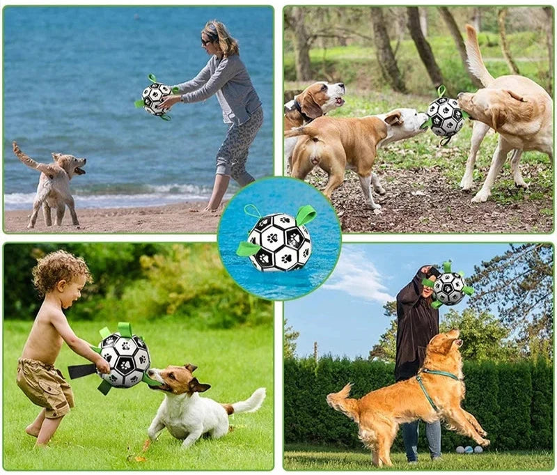 Dog Soccer Ball