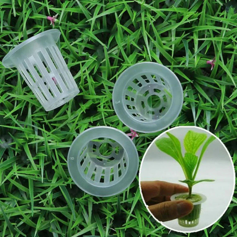 Garden Vegetable Soilless Grow Net Pot