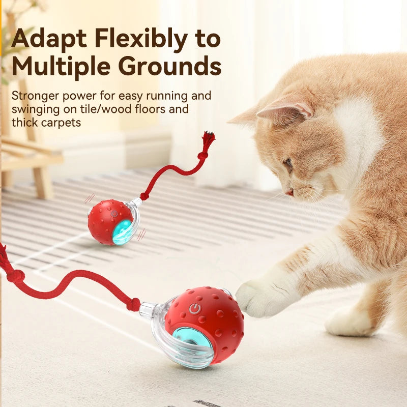 Interactive Cat Ball Toy