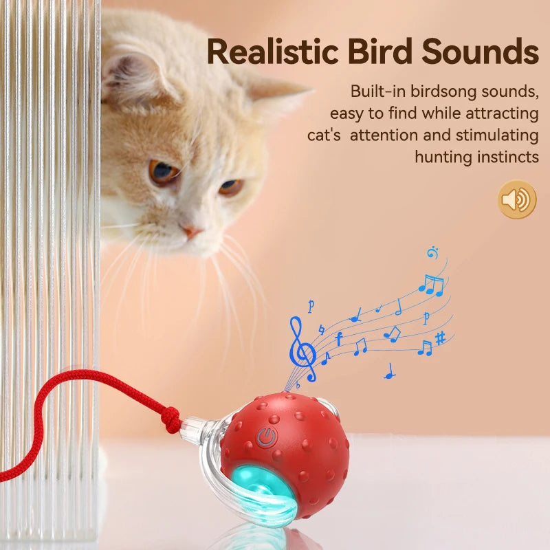 Interactive Cat Ball Toy