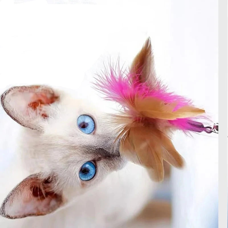 Cat Feather Collar Toy