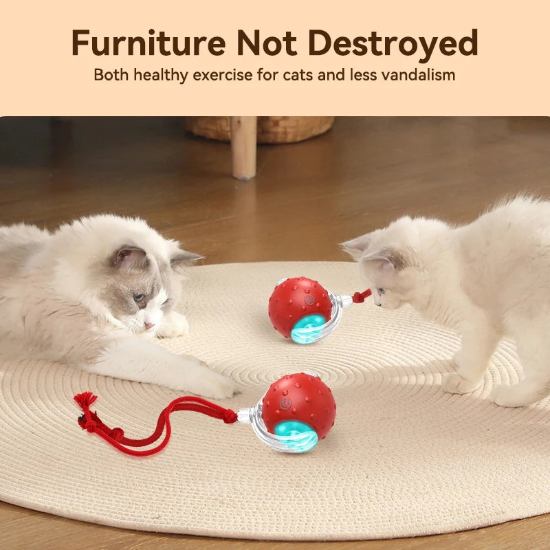 Interactive Cat Ball Toy