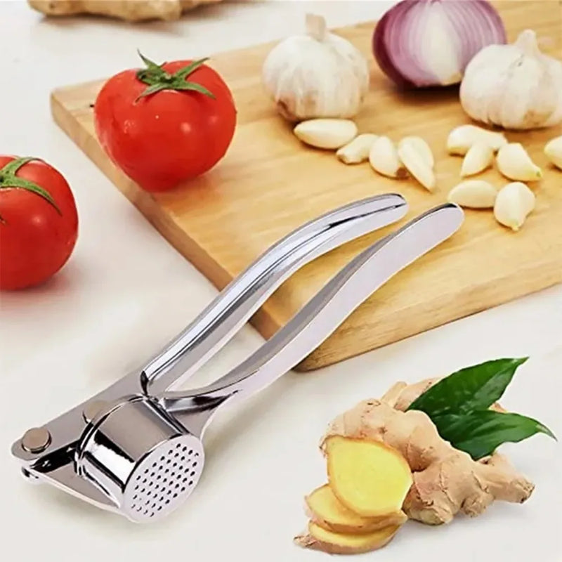 Manual Press Garlic Crusher