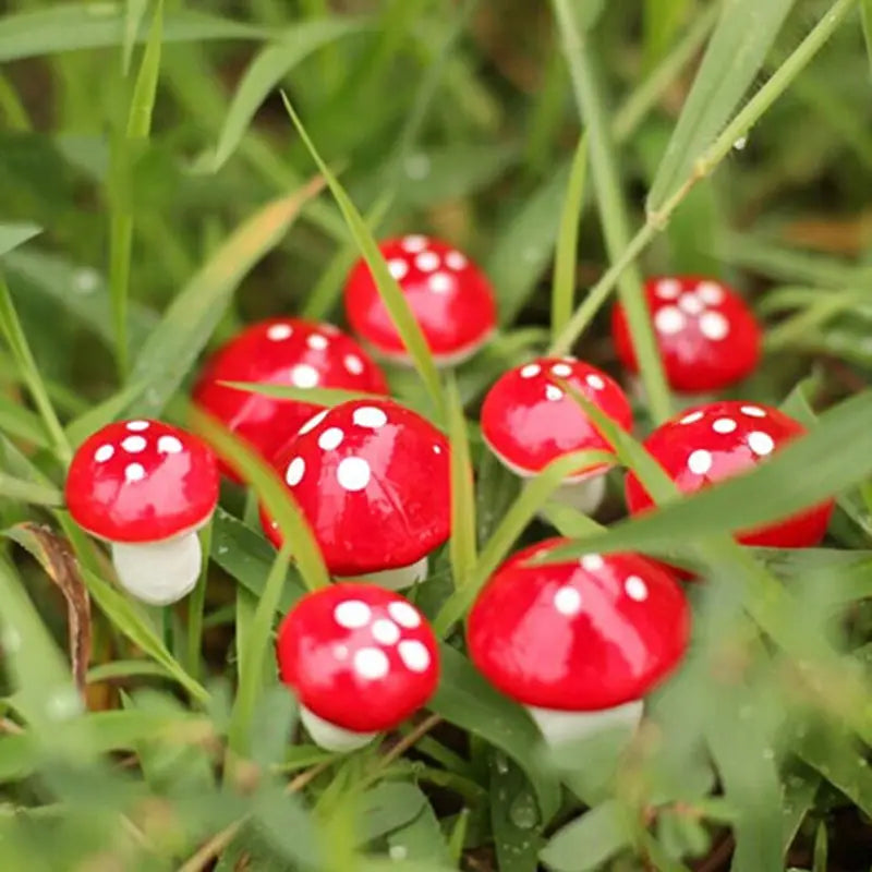 Garden Mini Mushroom Miniatures