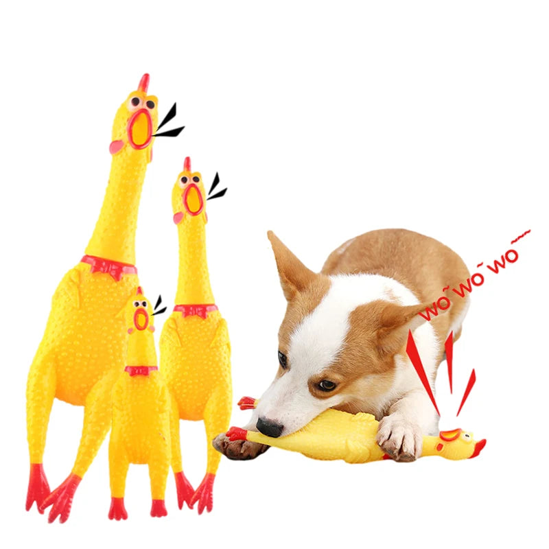 Dog Squeaky Chicken Toy