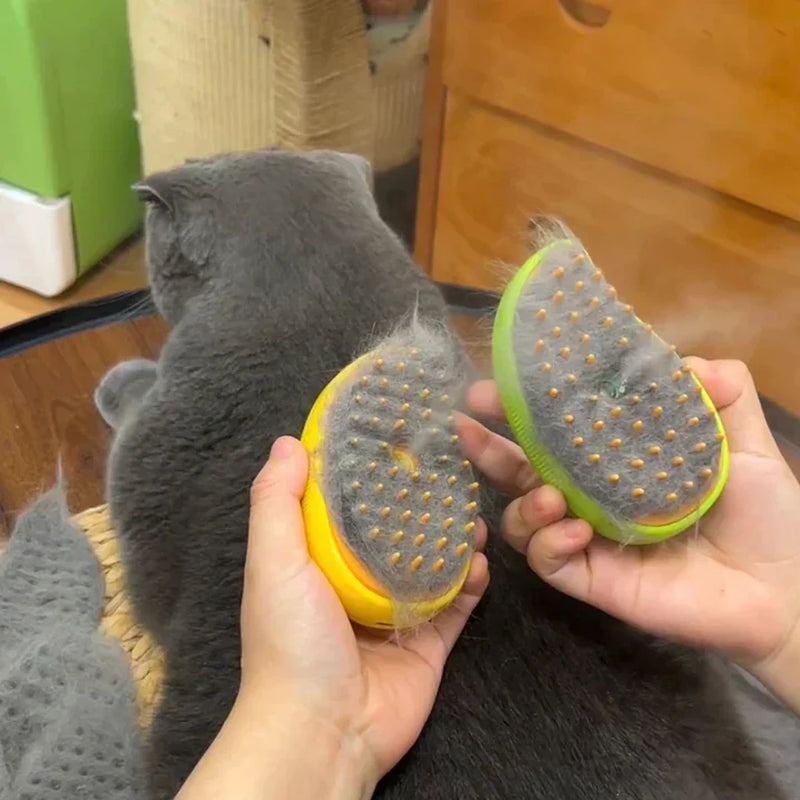 Steamy Cat Brush