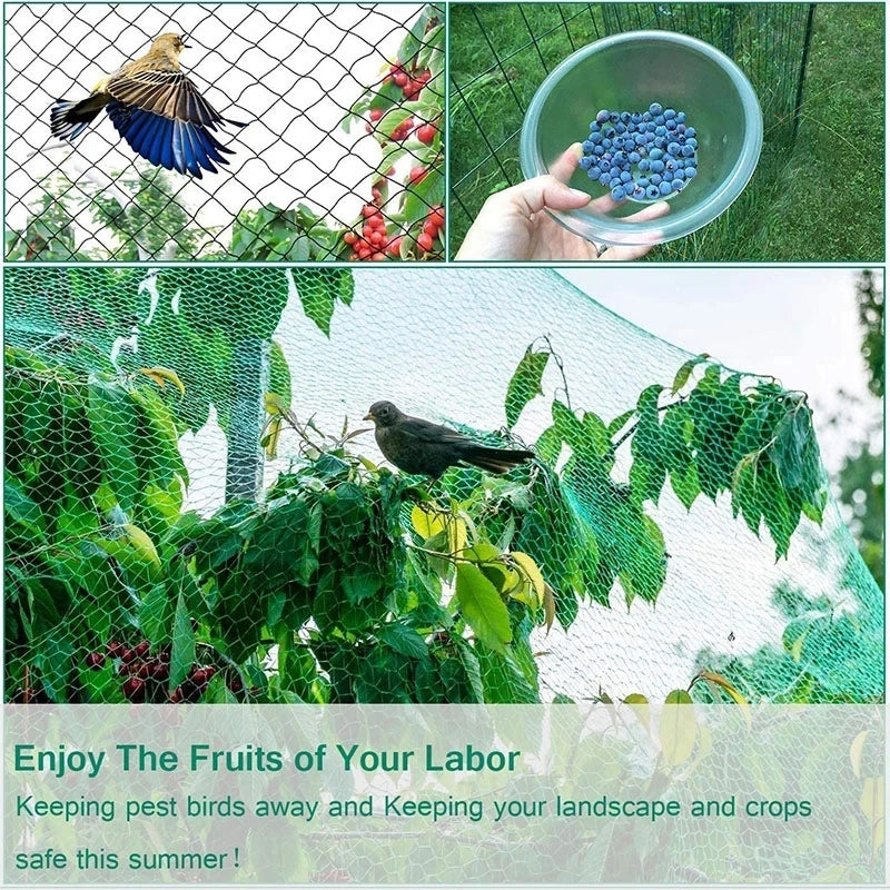 Green Bird Proof Net