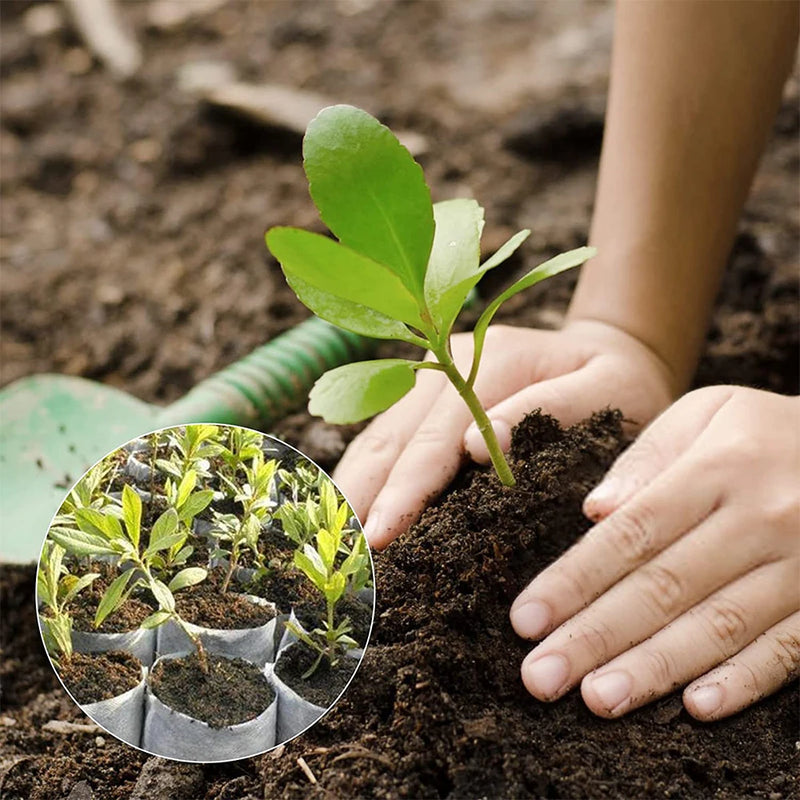 Biodegradable Plant Bags