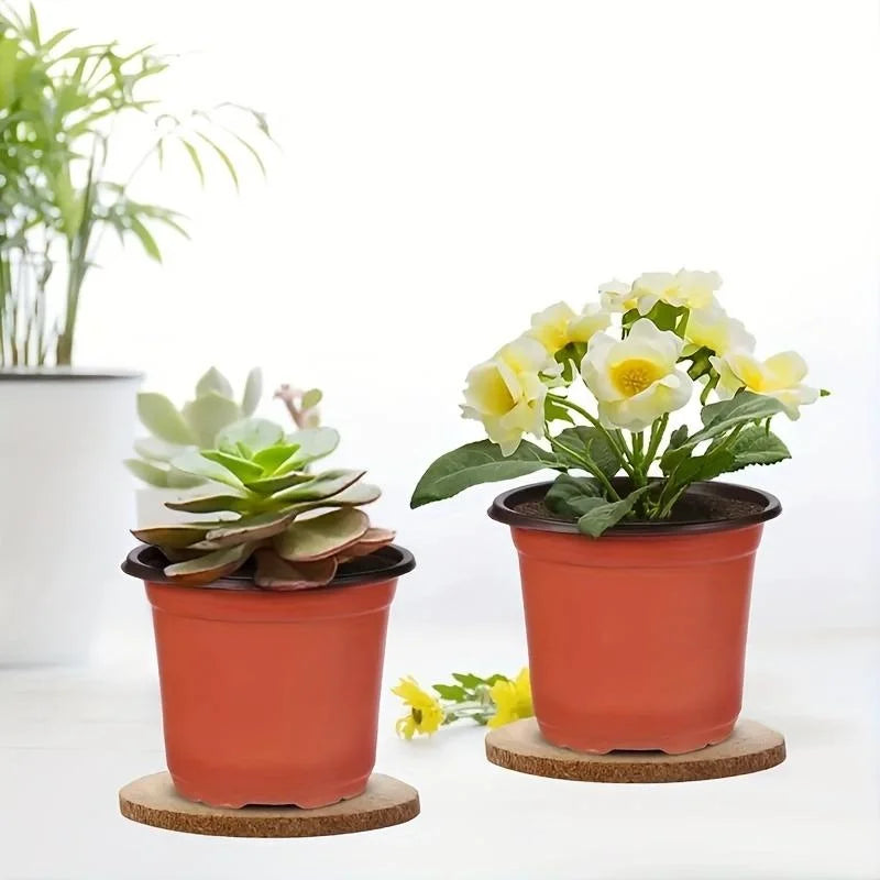 Plastic Plant Nursery Pots