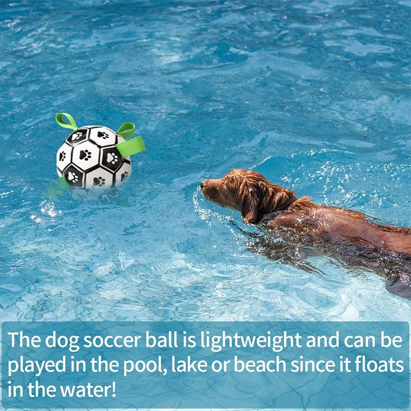 Dog Soccer Ball