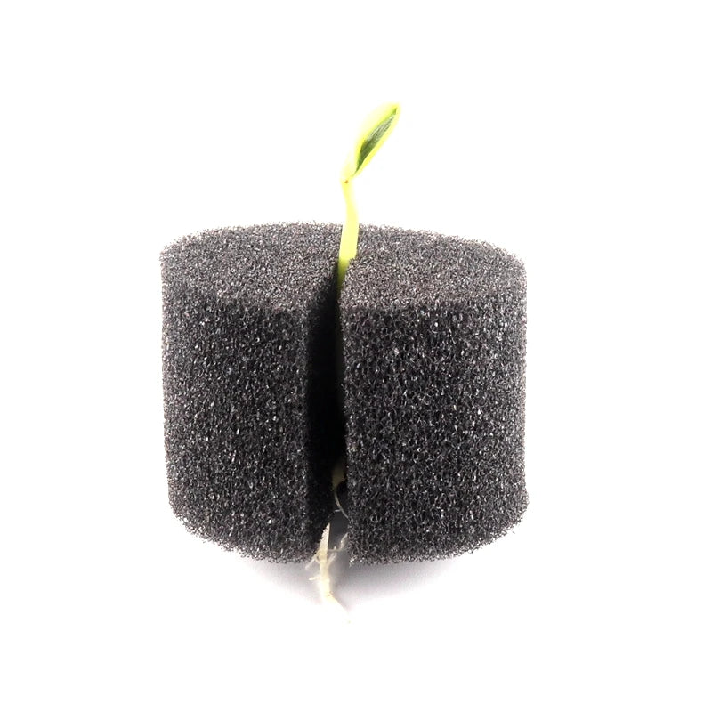 Nursery Planting Root Fixed Sponge