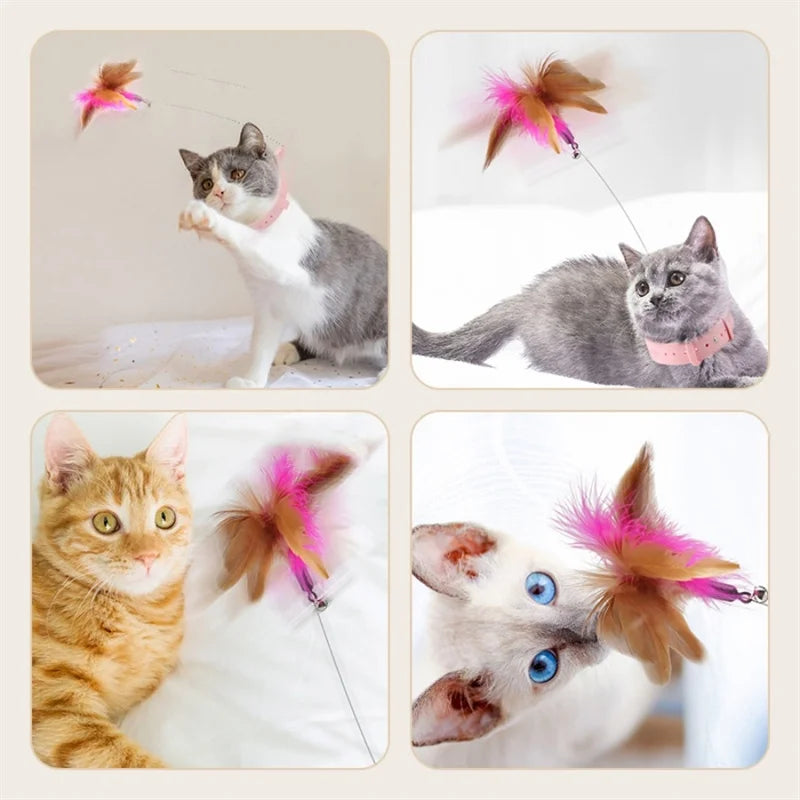 Cat Feather Collar Toy