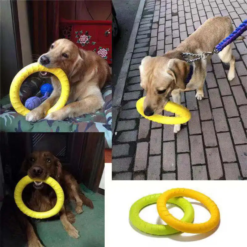 Dog Flying Disc