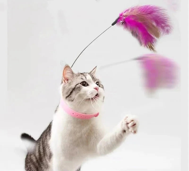 Cat Feather Collar Toy