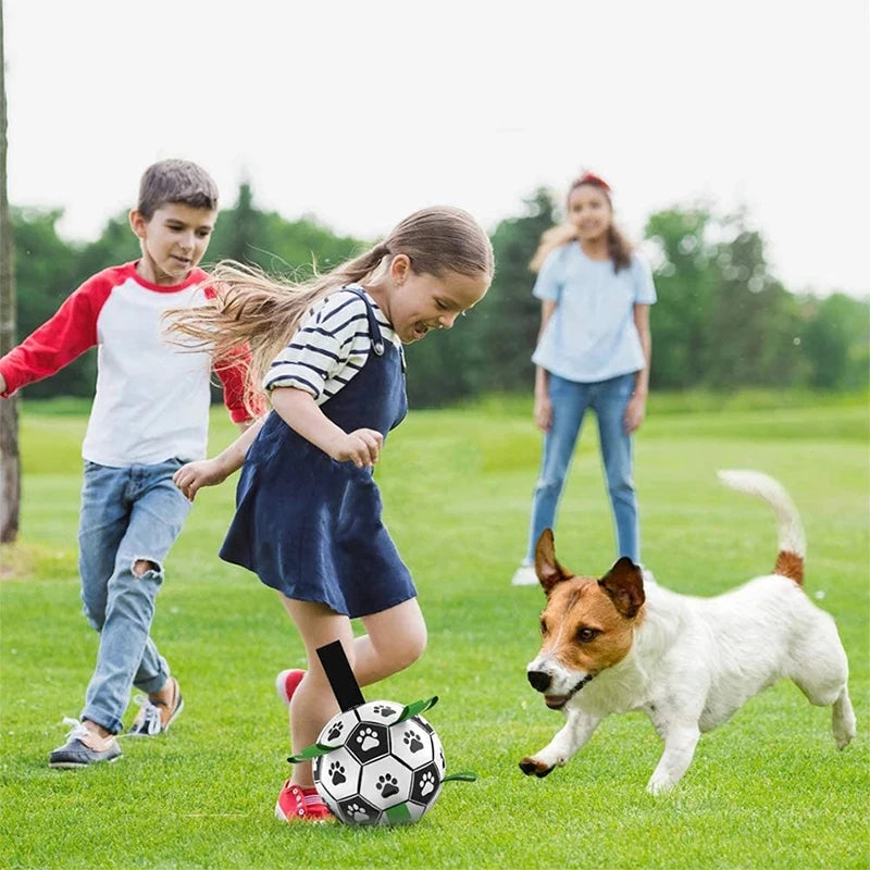 Dog Soccer Ball