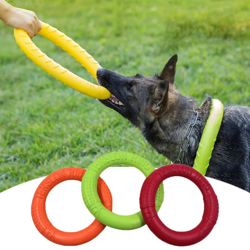 Dog Flying Disc