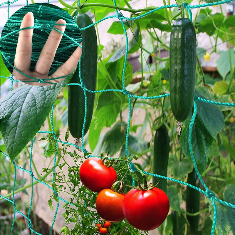 Garden Plant Climbing Net