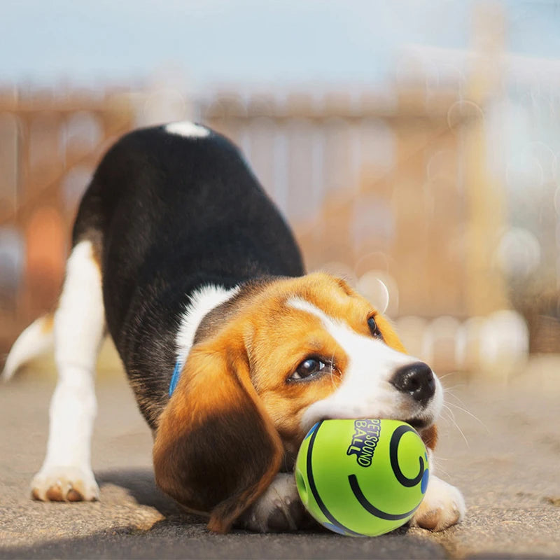 Interactive Wobble Dog Toy