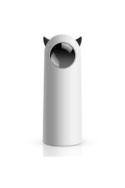 Interactive Cat Laser Toy